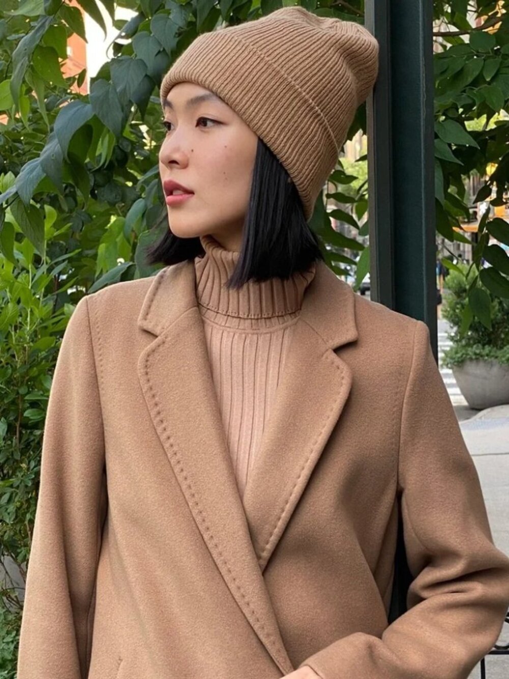 Aritzia Sunday Best Snowflake Ribbed Beanie